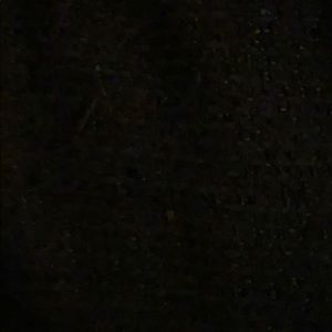 Meet your Posher, Rylee